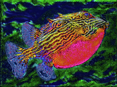 Travel Pics Digital Art Royalty Free Images - Plump fish. Royalty-Free Image by Andy i Za