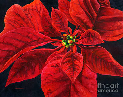 Royalty-Free and Rights-Managed Images - Poinsettia Passion by Hailey E Herrera