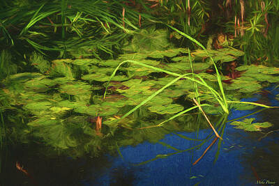 Lilies Digital Art - Pond and Reeds, 876 by Mike Penney