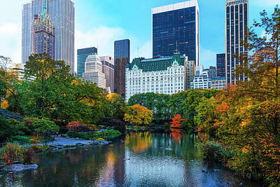 Lilies Royalty-Free and Rights-Managed Images - Pond by Plaza Hotel Central Park Fall by Lily Malor