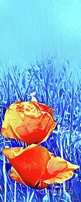 Abstract Mixed Media - Poppies Close Up  by Daniel Janda