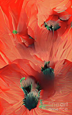 Music Royalty-Free and Rights-Managed Images - Poppy Delight by Elaine Manley
