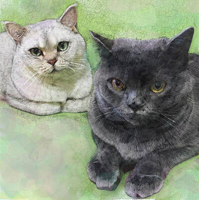 Best Sellers - Portraits Drawings - Portrait of Cats by LanLan Gallery