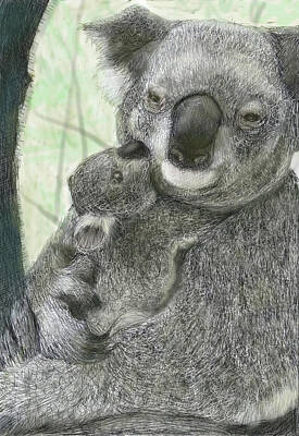 Best Sellers - Portraits Drawings - Portrait of Koala  by LanLan Gallery