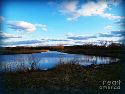 Frank J Casella Royalty-Free and Rights-Managed Images - Prairie Lake Golden Hour Reflection by Frank J Casella