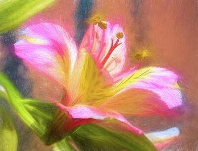Abstract Flowers Mixed Media - Princess Lily I  by Linda Brody