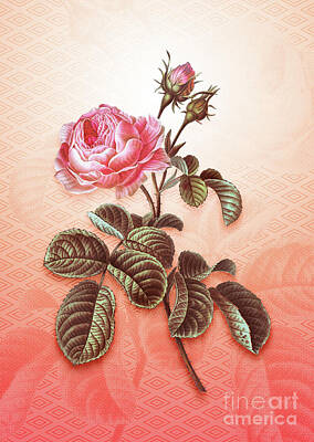 Roses Paintings - Provence Rose Vintage Botanical in Peach Fuzz Hishi Diamond Pattern n.0252 by Holy Rock Design