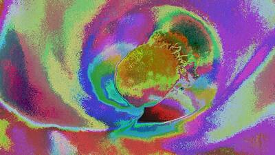 Lilies Digital Art - Psychedelic Lily by Lorna Moone