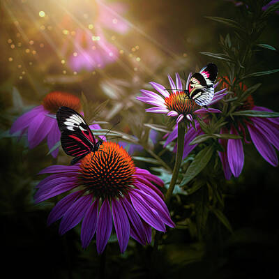 Lilies Rights Managed Images - Purple Coneflowers and Butterflies - Flowers and Butterflies Collection Royalty-Free Image by Lily Malor