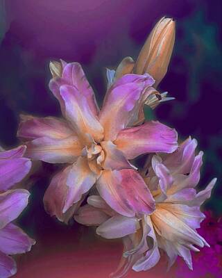 Abstract Flowers Digital Art - Purple Lilies by Laura Vanatka