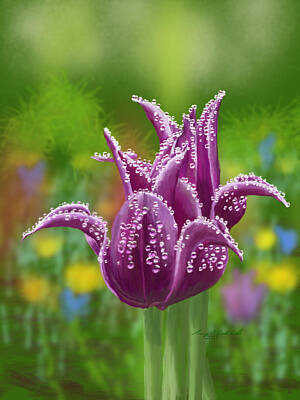 Lipstick - Purple Lily Flowering Tulips after Rain by Gary F Richards