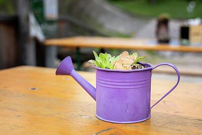 Hearts In Every Form - Purple Watering Can Standing On A Wooden Table by Stefan Rotter