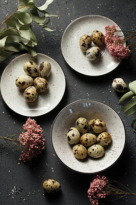 Blooming Daisies - Quail eggs in speckled plates with beautiful dried flowers by Iuliia Malivanchuk