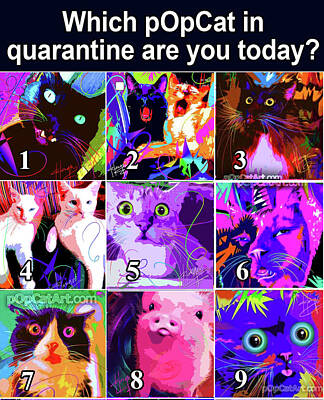 Staff Picks Rosemary Obrien - Quarantine Cats by DC Langer