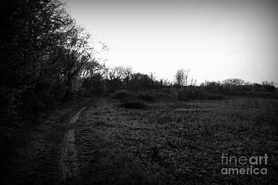 Frank J Casella Rights Managed Images - Quiet Morning On The Preserve Trail - Black and White Royalty-Free Image by Frank J Casella