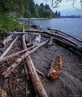 Stocktrek Images - Quinault 10-20-011 by Mike Penney