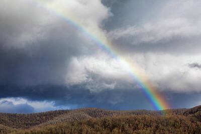 Sultry Plants Rights Managed Images - Rainbow over the Mountains Royalty-Free Image by Claudia Domenig