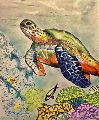 Beach Mixed Media - Rainbow  Turtle  by Melvin Royster