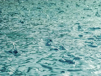 Queen Royalty Free Images - Raindrops Series 2 Royalty-Free Image by Janal Koenig