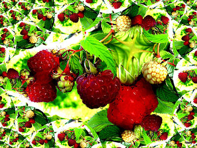 Food And Beverage Mixed Media Rights Managed Images - Raspberry Royalty-Free Image by Patrick J Murphy