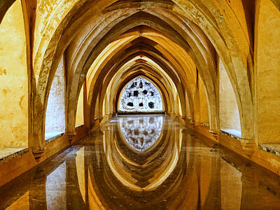 Fromage - Real Alcazar 25 - Seville by Allen Beatty