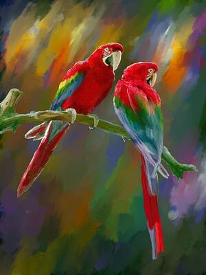 Birds Paintings - Red and Green Macaw by Gary F Richards