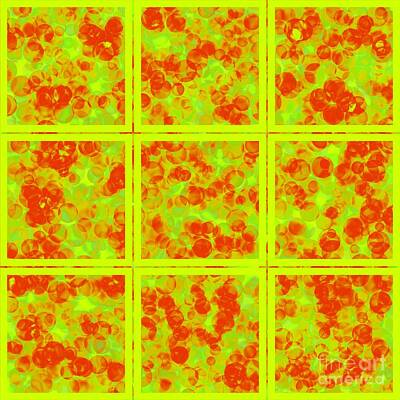 A Tribe Called Beach - Red and Yellow Green in Squares Abstract Pattern  by Douglas Brown