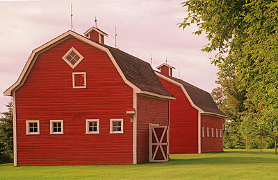 Rolling Stone Magazine Covers Rights Managed Images - Red Barns Royalty-Free Image by Dave Reede