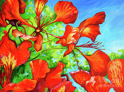 Royalty-Free and Rights-Managed Images - Red Bracts on a Royal Poinciana by John Clark