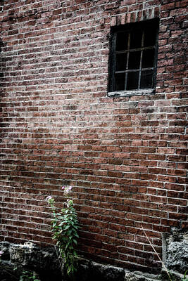 Prescription Medicine - Red Brick Wall with Iron Bars In Window Acorn Street Boston Massachusetts by Stephen Orsillo