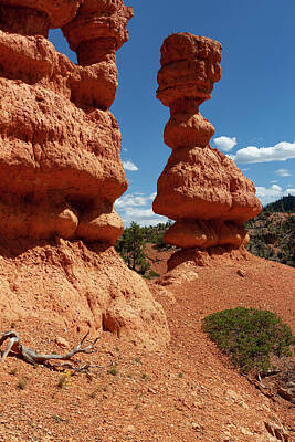 Mother And Child Paintings - Red Canyon Hoodoo by James Marvin Phelps