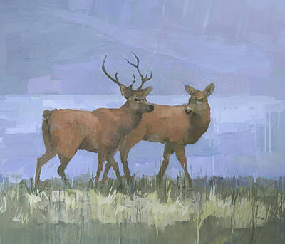 Royalty-Free and Rights-Managed Images - Red Deer on Exmoor by Steve Mitchell