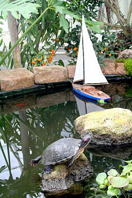 Reptiles Photos - Red Eared Turtle and a Sailboat by Masha Batkova