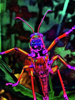 Travel Pics Digital Art Royalty Free Images - Red grasshopper. Royalty-Free Image by Andy i Za