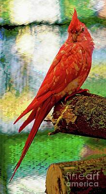 Birds Mixed Media Rights Managed Images - Red Parakeet Royalty-Free Image by Ian Gledhill