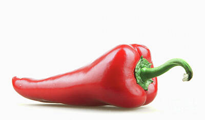 From The Kitchen - Red Pepper by Nenov Images