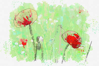 Cities Rights Managed Images - Red Poppies 2, watercolor, by Ahmet Asar Royalty-Free Image by Celestial Images