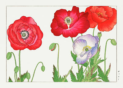 Floral Digital Art - Red Poppy flower - Ukiyo e art - Vintage Japanese woodblock art - Seiyo SOKA ZUFU by Tanigami Konan by Studio Grafiikka