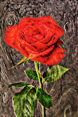 Lori A Cash Royalty-Free and Rights-Managed Images - Red Rose Impression by Lori A Cash