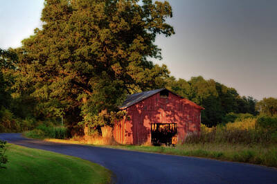 Wilderness Camping - Red Tobacco Shed with tobacco drying inside lit by setting sun - Stebbinsville Road by Peter Herman