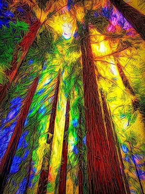 Abstract Photos - Redwoods Panache by Christina Ford