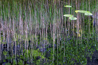 Watercolor Alphabet - Reflecting Pond  9516 by Karen Celella