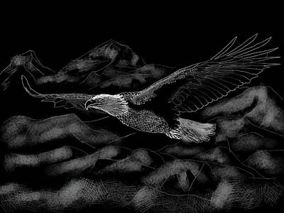 Birds Drawings - Regal Bald Eagle Soaring by Gary F Richards