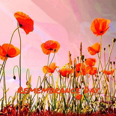 Abstract Graphics Rights Managed Images - Remembrance Day  Royalty-Free Image by Laura Vanatka