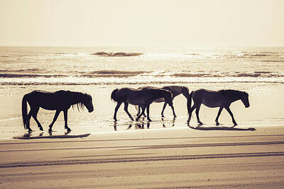 Beach House Shell Fish - Resilient Spirits - Wild Horses Walking On The Shore In Sepia by Gregory Ballos