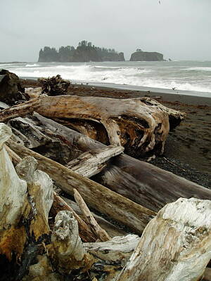 Negative Space Rights Managed Images - Rialto Beach Royalty-Free Image by Tara Krauss