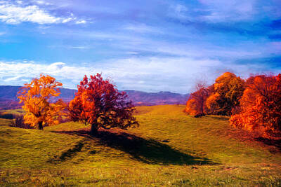 Impressionism Photos - Rich Autumn Hues by Jim Love