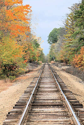 Cat Tees - Riding The Rails Of Autumn by Diann Fisher