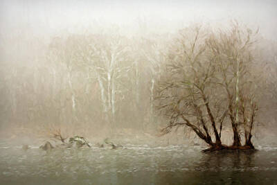 Discover Inventions - River Fog on Winter Morning by Francis Sullivan