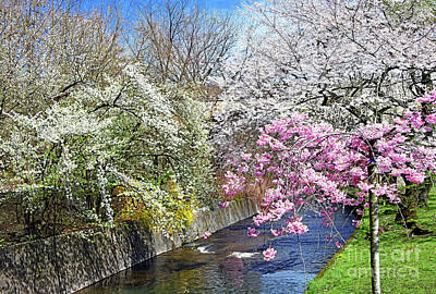 Florals Royalty-Free and Rights-Managed Images - Riverside Spring Blooms by Regina Geoghan
